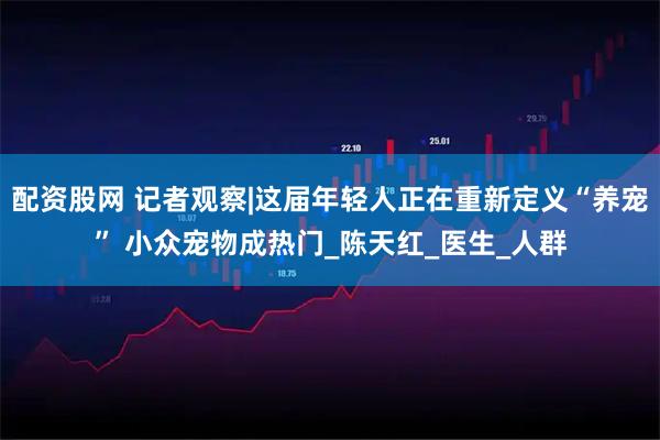 配资股网 记者观察|这届年轻人正在重新定义“养宠” 小众宠物成热门_陈天红_医生_人群