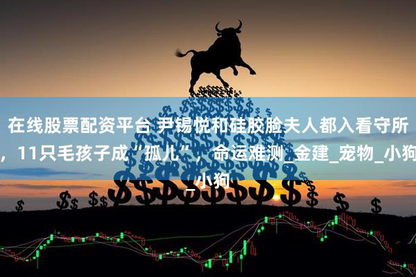 在线股票配资平台 尹锡悦和硅胶脸夫人都入看守所，11只毛孩子成“孤儿”，命运难测_金建_宠物_小狗